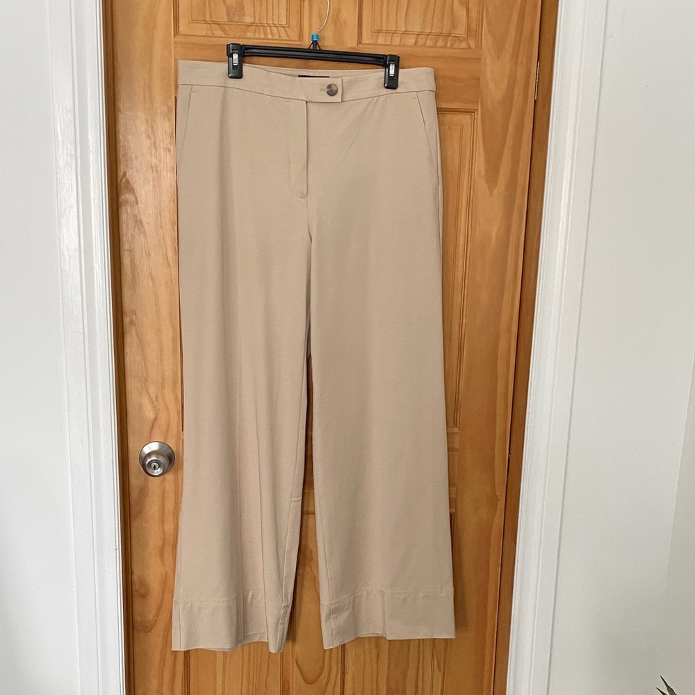 Ann Taylor Beige Trousers